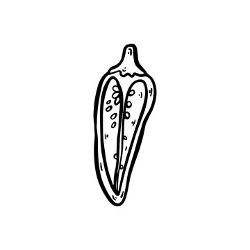 Hot Pepper Doodle Drawing Stock Illustration