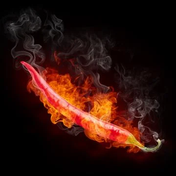 Hot Pepper Stock Illustration