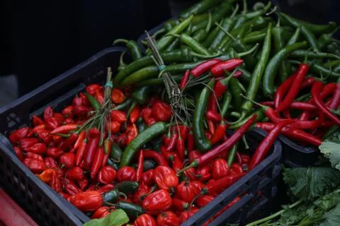 Hot Pepper / Pepperoni  Stock Photos