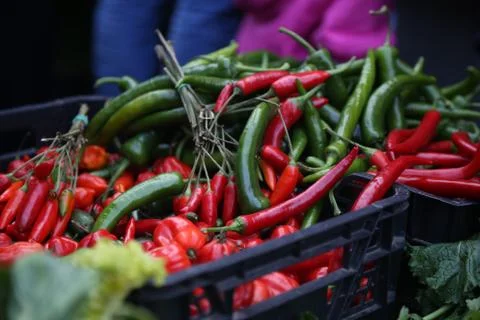 Hot Pepper / Pepperoni  Stock Photos