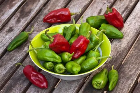 Hot pepper Stock-Fotos