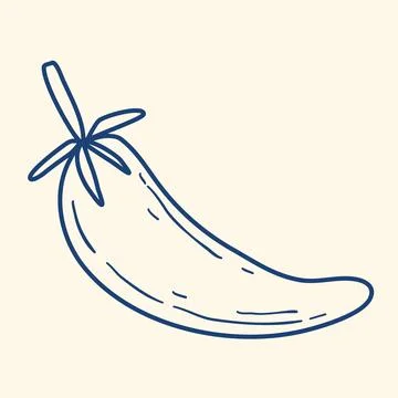 Hot pepper pod hand drawn in blue ink clip art イラスト素材