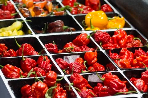 Hot pepper store Foto stock