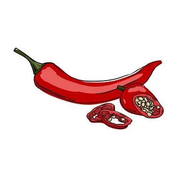 Hot pepper Vector illustration on white background Stock Illustration