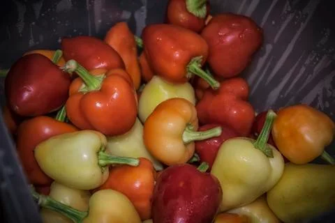 Hot Peppers Stock Photos