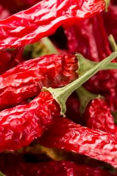 The hot peppers Stock Photos