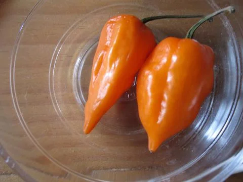 Hot peppers Stock Photos