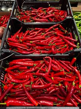 Hot peppers Foto stock