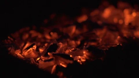 Hot red charcoals in a bonfire Stock Footage 81776400