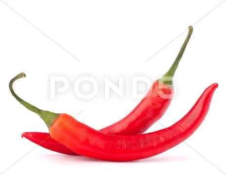 Hot red chili or chilli pepper Stock Photos