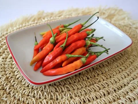 Hot red chili in a rectangular plate. Stock Photos