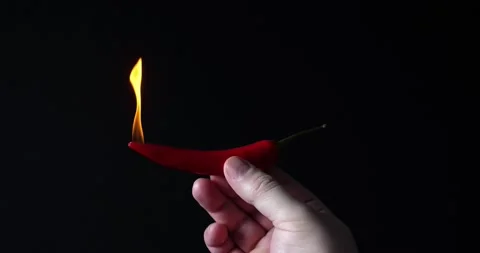 Hot red chilli pepper symbolically burns on black background. 스톡 동영상 148309579