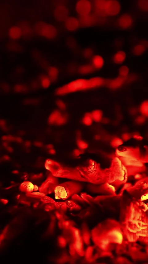 Hot red embers left from the campfire. Stock Footage 308306765