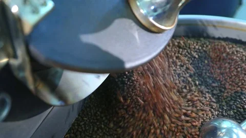 Hot roasted coffee beans are poured from drum of roasting machine. Coffee steam. Stock Footage 72707748