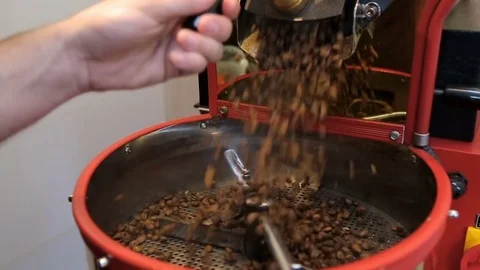 Hot roasted coffee beans are poured from drum of roasting machine. Coffee steam Stock Footage 76186874