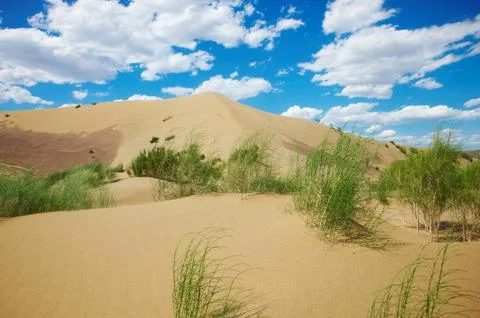 Hot sandy desert Stock Photos