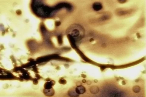 Hot Saw Stock Footage 113406