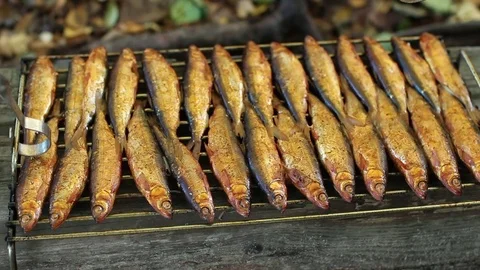 Hot Smoked fish Stock Footage 81633209