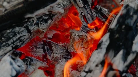Hot Smoldering Coals and Fire Embers Close up Loop Stock Footage 342897914