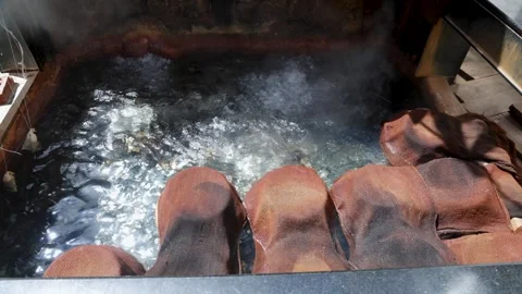 Hot Spring Boiling Water and Steam in Natural Thermal Pool with gurudwara f.. Stock Footage 343639769