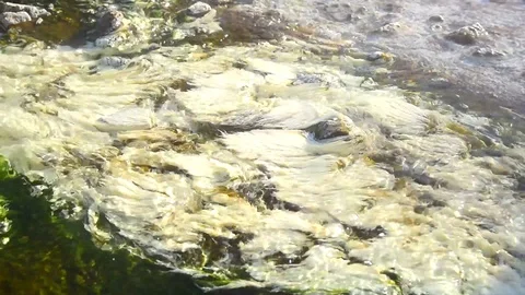 Hot spring closeup. at chaeson national park lampang thailand Stock Footage 100108409
