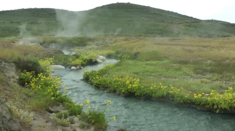 Hot spring creek with flowers,8 Stock Footage 32551882