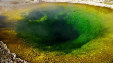 Hot Spring with Green Bacteria Stock Footage 35311274