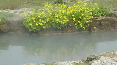 Hot spring pool with flowers, 2 Stock Footage 32580383