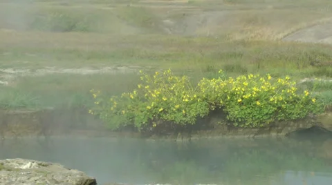 Hot spring pool with flowers, 4 Stock Footage 32581629