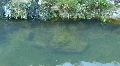 Hot Spring In The Soda Dam Of The Jemez Mountains HD Footage