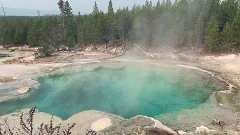 Hot Spring Steams by Trees- Stock Footage 179151069