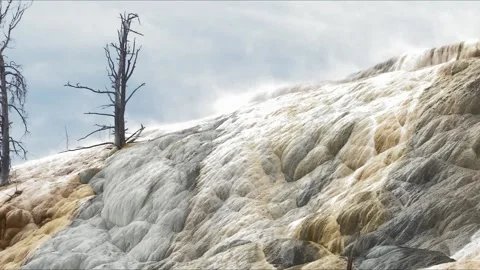 Hot spring water flowing over textured travertine terraces Stock Footage 339042347