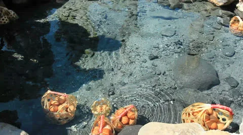 Hot spring,lampang,Thailand 库存影片 24970874