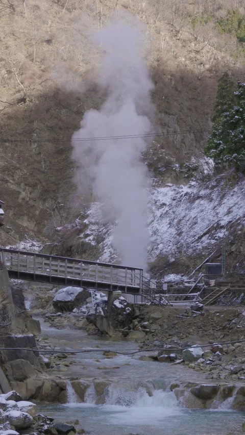 The Hot Springs of Hell Valley Monkey Park Stock Footage 332853911