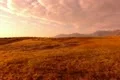 Hot Springs HS09 Slow Motion 120fps Shepherd Sunrise Footage
