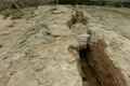 Hot Springs HS21 Slow Motion 120fps Travertine Footage