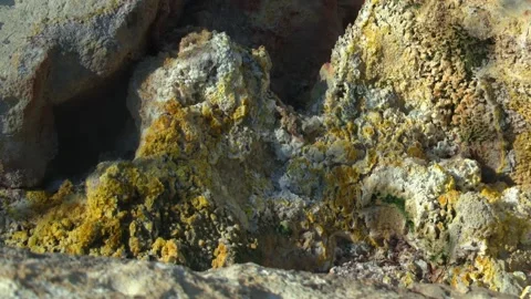 Hot sulfuric steam rises from a fumarole vent at Bumpass Hell in Lassen Video stock 337654695