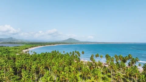 Hot summer at a Caribbean resort. Summer landscape of travel and vacation. Stock Footage 252159860