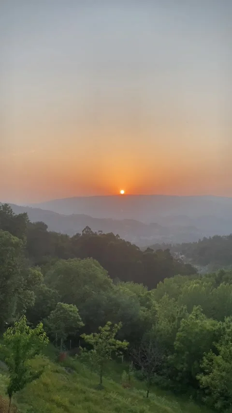 Hot summer day with sunset over hills, green trees, and panoramic landscape 🌞🌳 Stock Footage 310964724