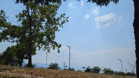 A hot summer day, yellow grass, road, and a village path Video stock 342610861