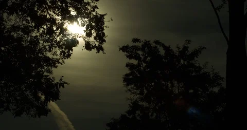 Hot summer evening sun reflects in the water Stock Footage 101974468