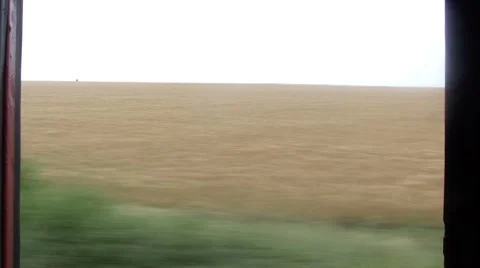 Hot Summer Field Crop - Train View Video stock 8601893