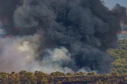 Hot summer fire, huge column of dark smoke Stock Photos