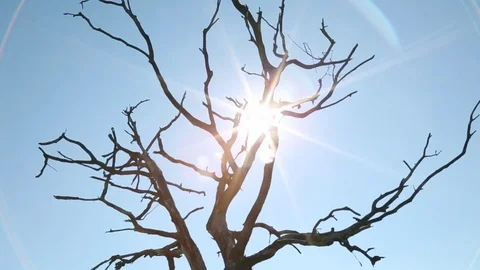 Hot sun Video stock 78545112