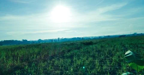 Hot sun Stock Photos