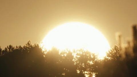 Hot sun of the summer Stock Footage 94852594