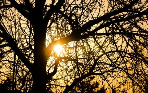 Hot sunset Stock Photos