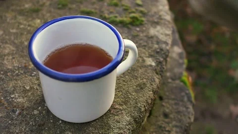 Hot tea in garden Stock Footage 70276691