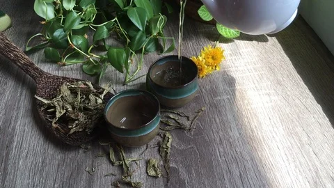 Hot tea herbs Video stock 96996759