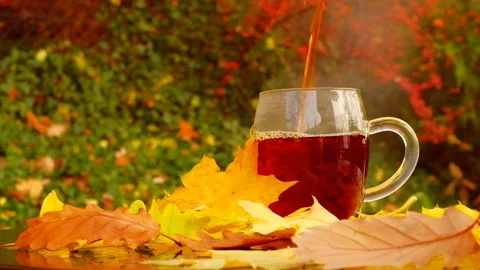 Hot tea is poured into transparent mug.Tea drinking in the garden Stock Footage 203383045